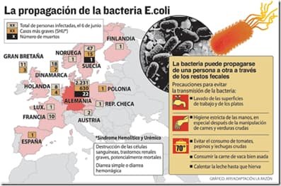 distribucion escherichia coli