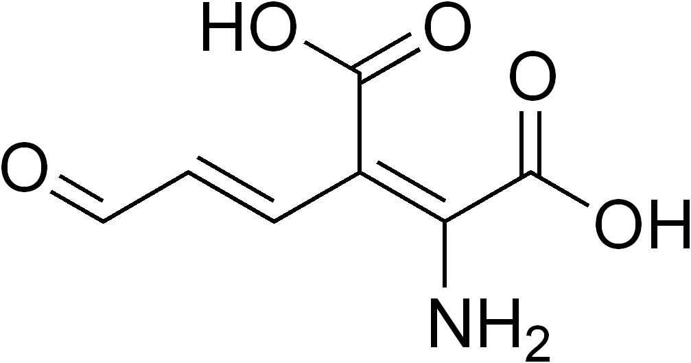 L-glutamina