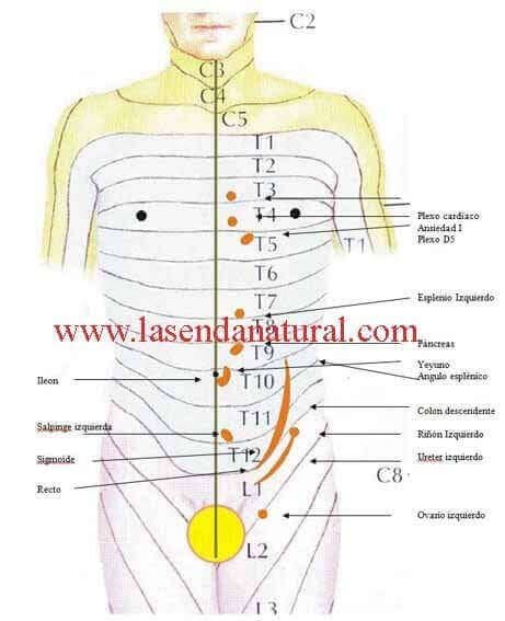 dermalgias izquierda